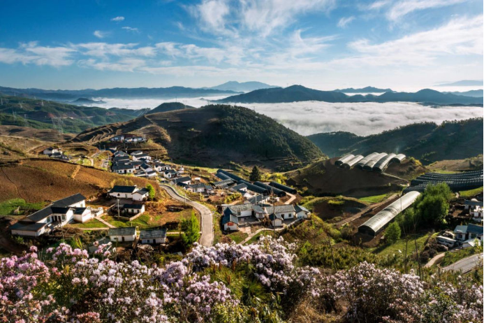 10 w66给利老牌电气集团科技兴农 助力凉山火普村打造数字乡村804.png